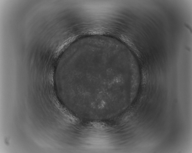 X0000100750681200807101704