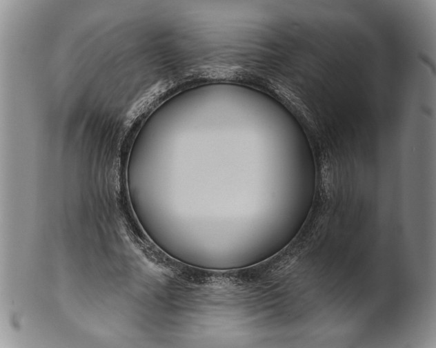 X0000100750682200807101704