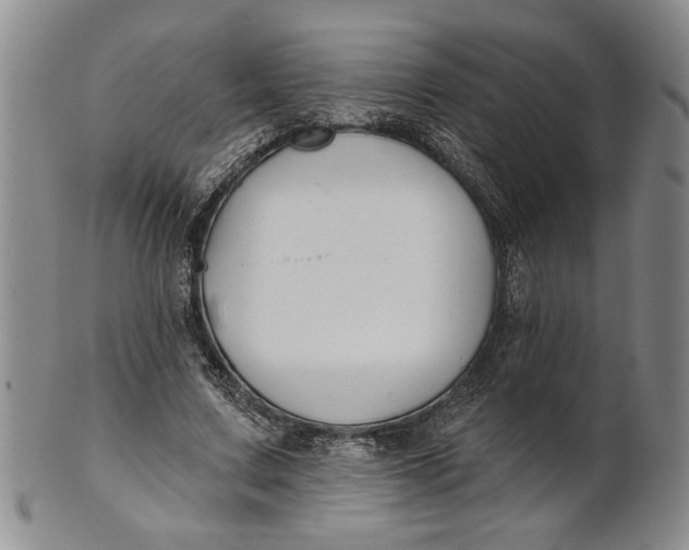 X0000100750683200807101704