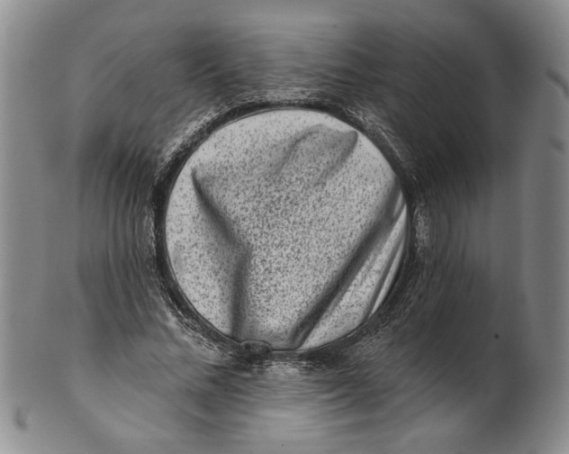 X0000100750684200807101704