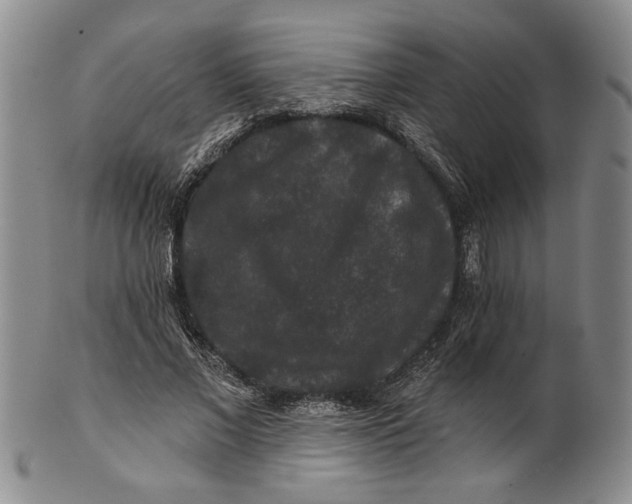 X0000100750685200807101704