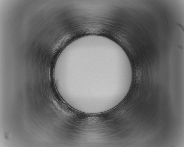 X0000100750686200807101704