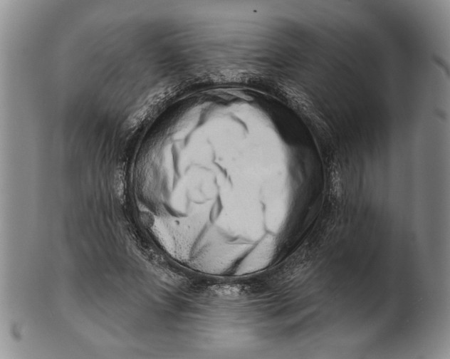 X0000100750687200807101704