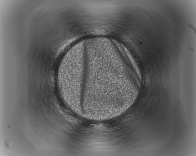 X0000100750688200807101704