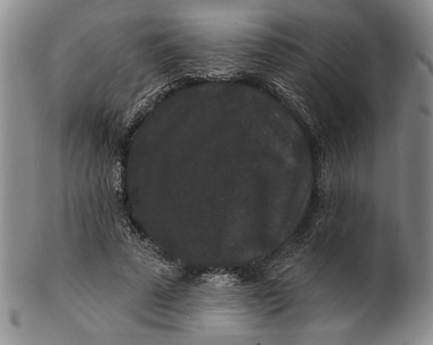 X0000100750689200807101703