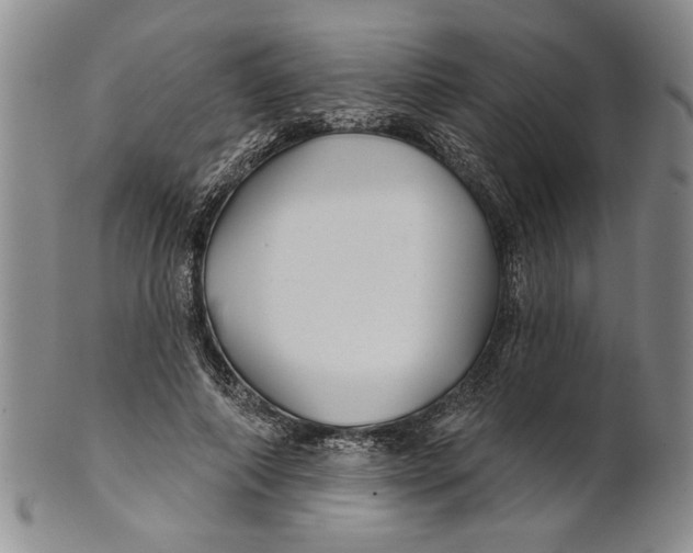 X0000100750690200807101703