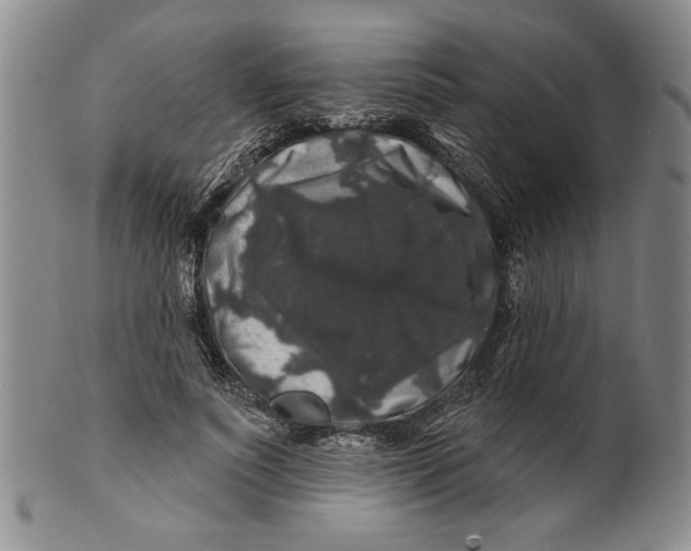 X0000100750691200807101703