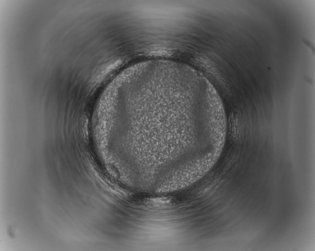 X0000100750692200807101703