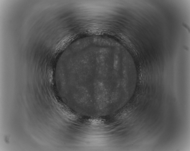 X0000100750693200807101703