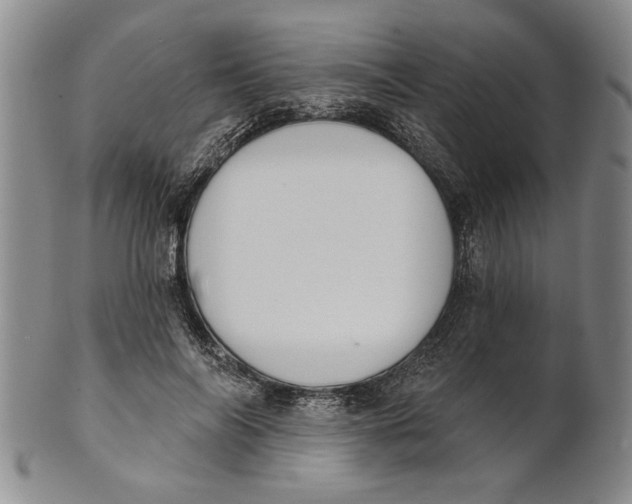 X0000100750694200807101703