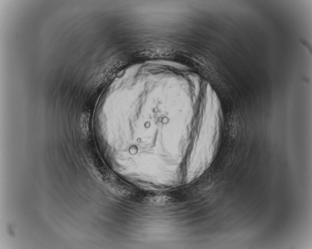 X0000100750695200807101703