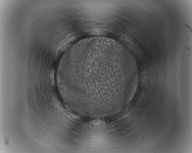 X0000100750696200807101703