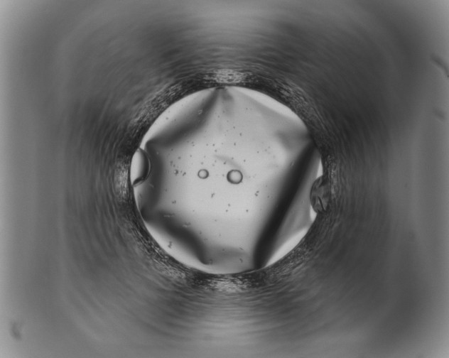 X0000100750697200807101703