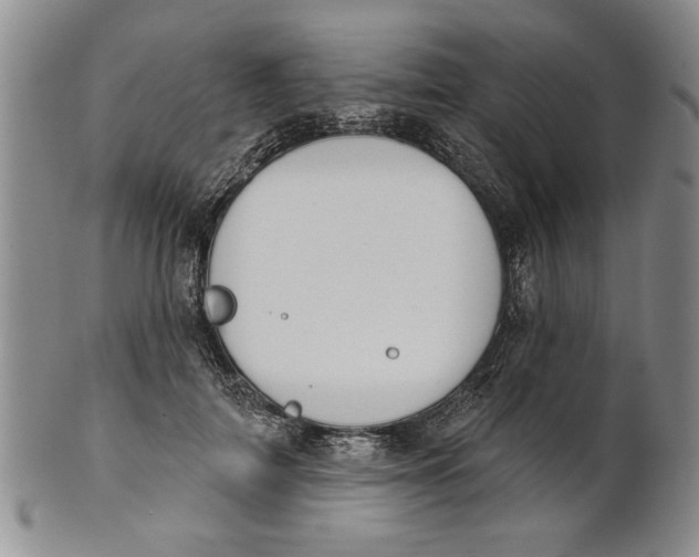 X0000100750698200807101703