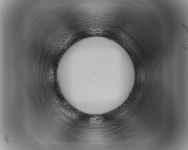 X0000100750700200807101703