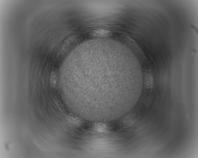 X0000100750701200807101703