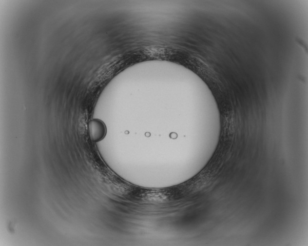 X0000100750702200807101703