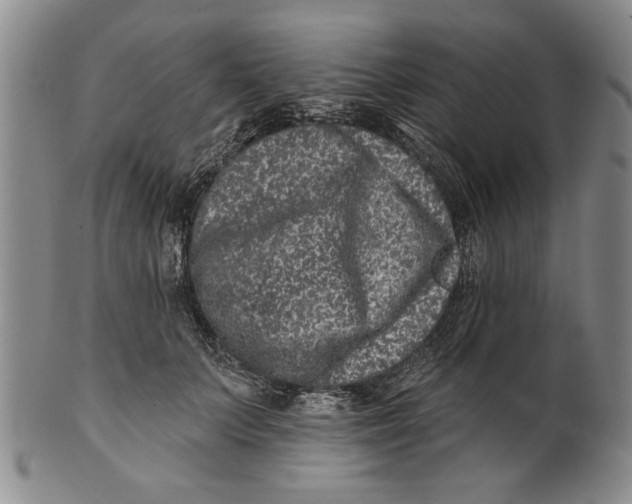 X0000100750703200807101703