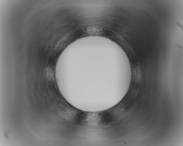 X0000100750705200807101703