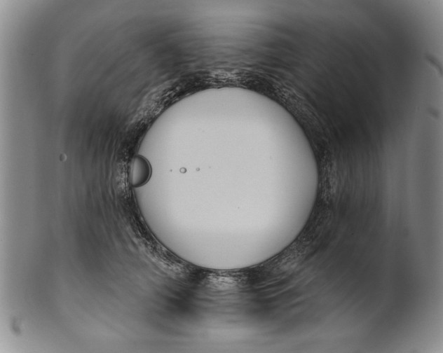 X0000100750706200807101703