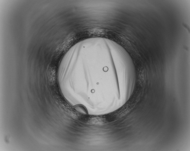 X0000100750708200807101703