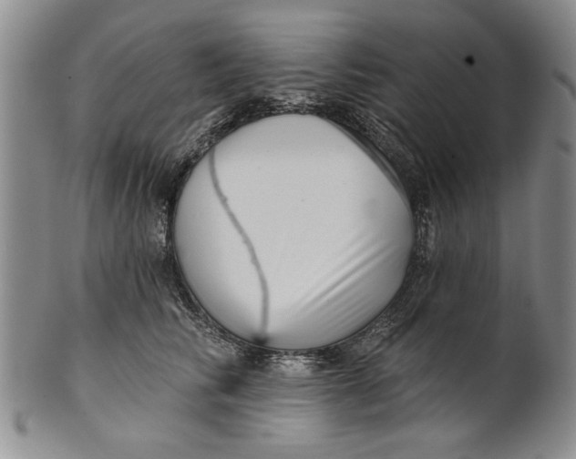 X0000100750710200807101703