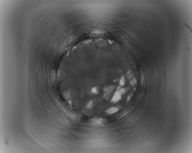 X0000100750711200807101703