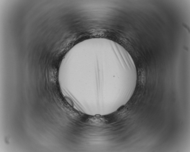 X0000100750712200807101703