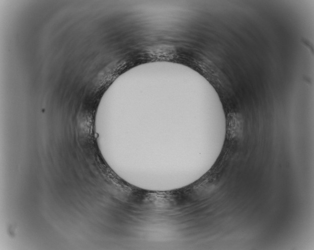 X0000100750713200807101703