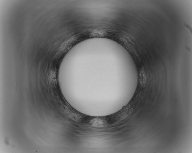 X0000100750714200807101703