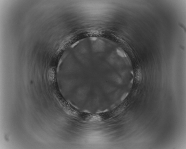 X0000100750715200807101703