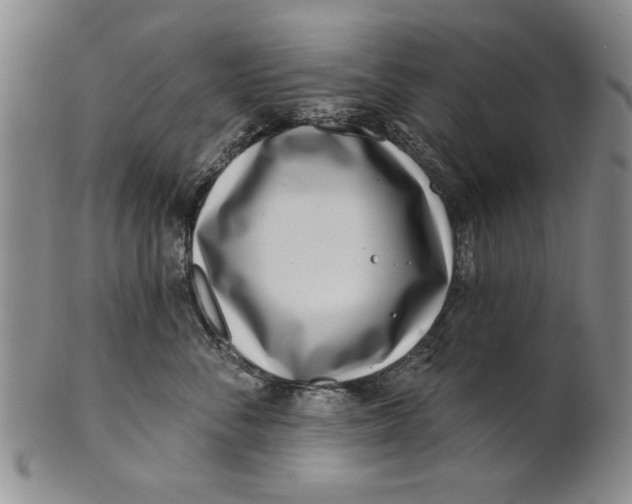 X0000100750716200807101703