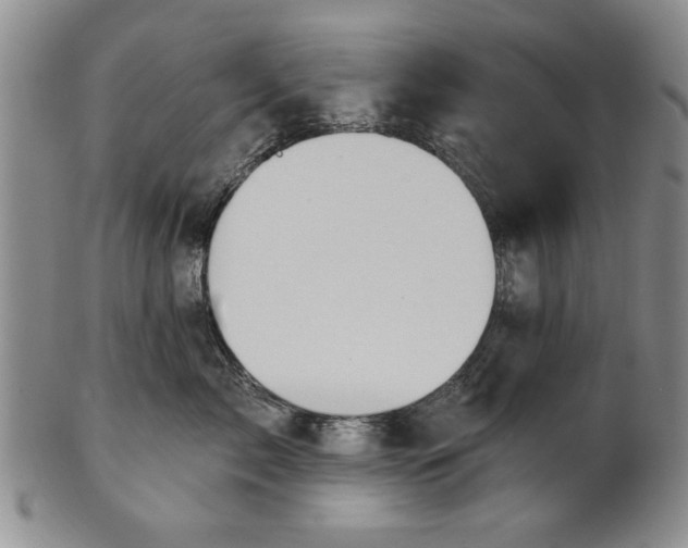 X0000100750717200807101703