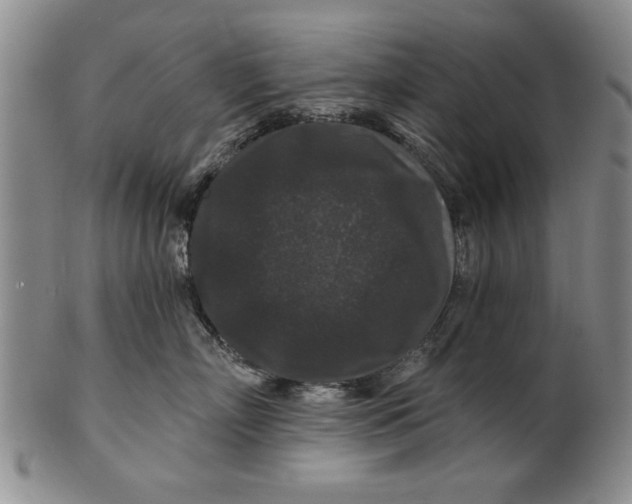 X0000100750718200807101703