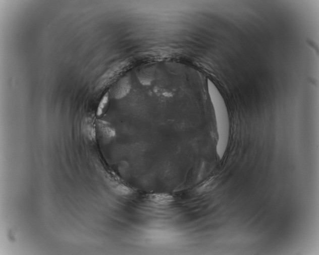 X0000100750719200807101703