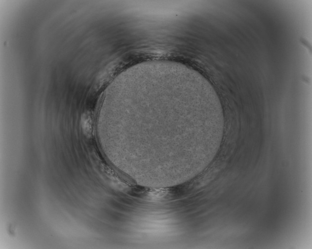 X0000100750720200807101703