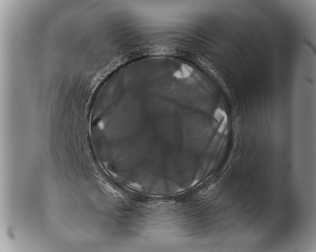 X0000100750721200807101702