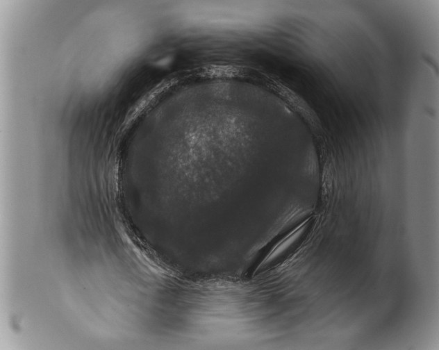 X0000100750722200807101702