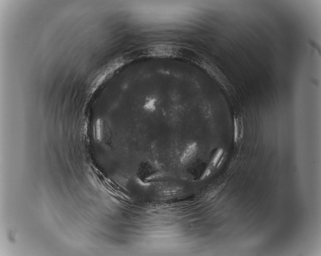 X0000100750723200807101702