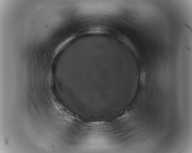 X0000100750724200807101702