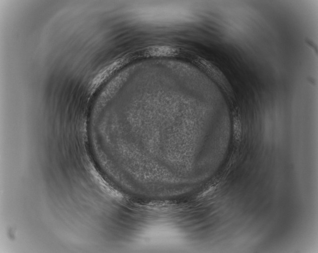 X0000100750725200807101702