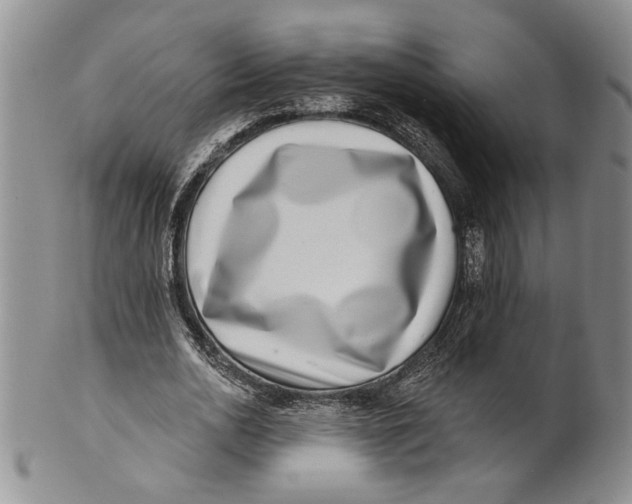 X0000100750726200807101702