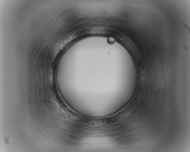 X0000100750727200807101702