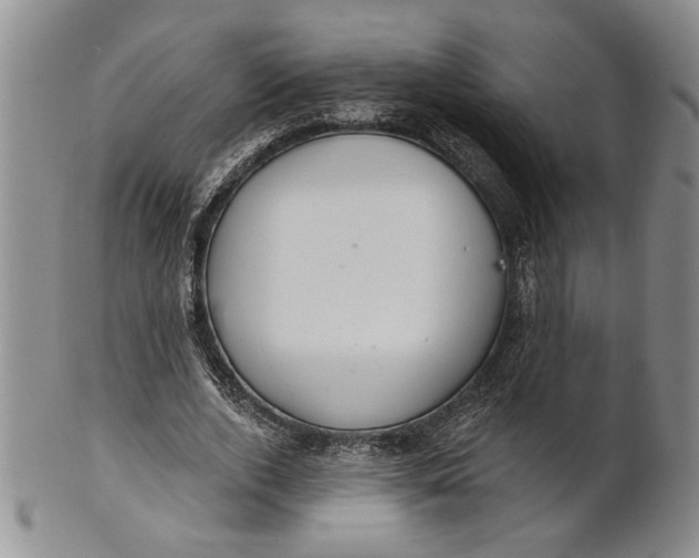 X0000100750728200807101702