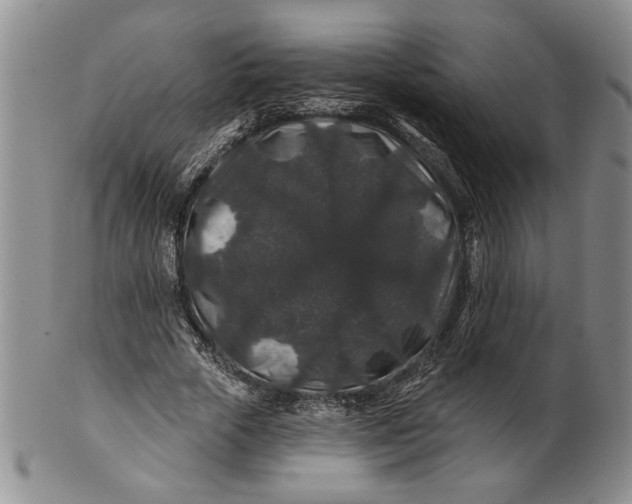 X0000100750729200807101702