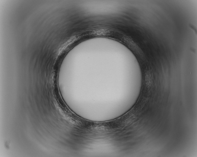 X0000100750730200807101702