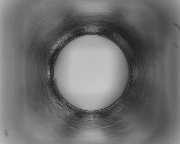 X0000100750731200807101702