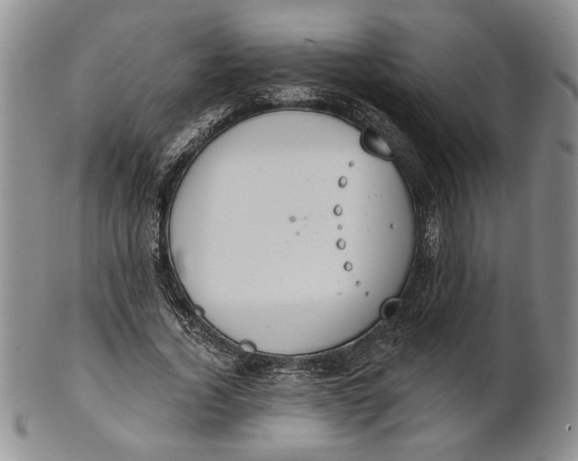 X0000100750732200807101702