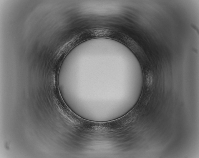 X0000100750733200807101702