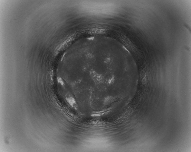 X0000100750735200807101702